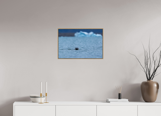 60 x 40 cm, Hahnemühle Baryta - Natural Oak Floater Curiosity