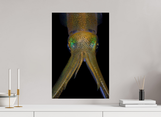 40 x 60 cm, ChromaLuxe HD Metal Print A Study of Symmetry