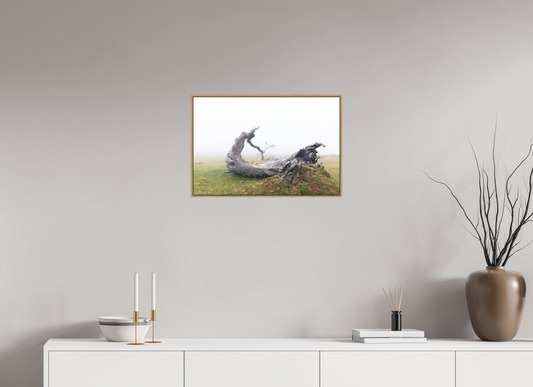 60 x 40 cm, Hahnemühle Photo Rag - Natural Oak Floater Vestige