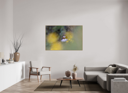 150 x 100 cm, Hahnemühle Baryta - Natural Oak Floater Sanctuary
