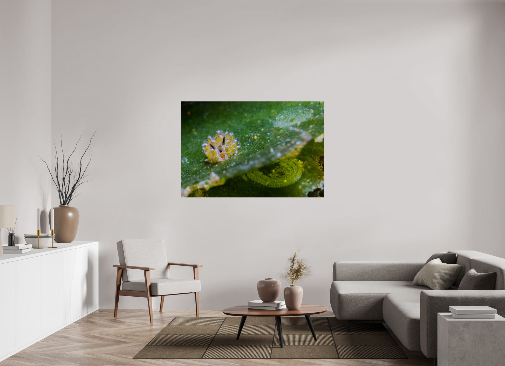 148.8 x 100 cm, ChromaLuxe HD Metal Print Shaun