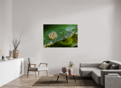 148.8 x 100 cm, ChromaLuxe HD Metal Print Shaun