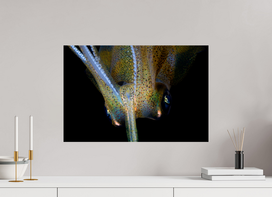 60 x 40 cm, ChromaLuxe HD Metal Print Defiance