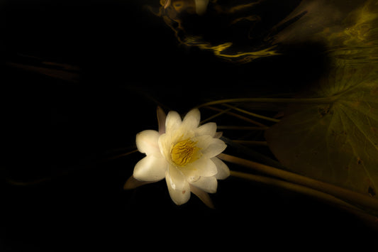 Hidden