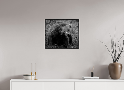 58.2 x 50 cm, Hahnemühle Baryta - 6mm Basel Black Oak Rugged