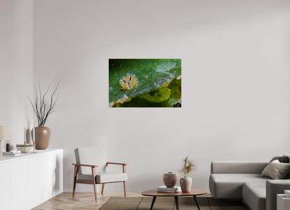 104.2 x 70 cm, ChromaLuxe HD Metal Print Shaun