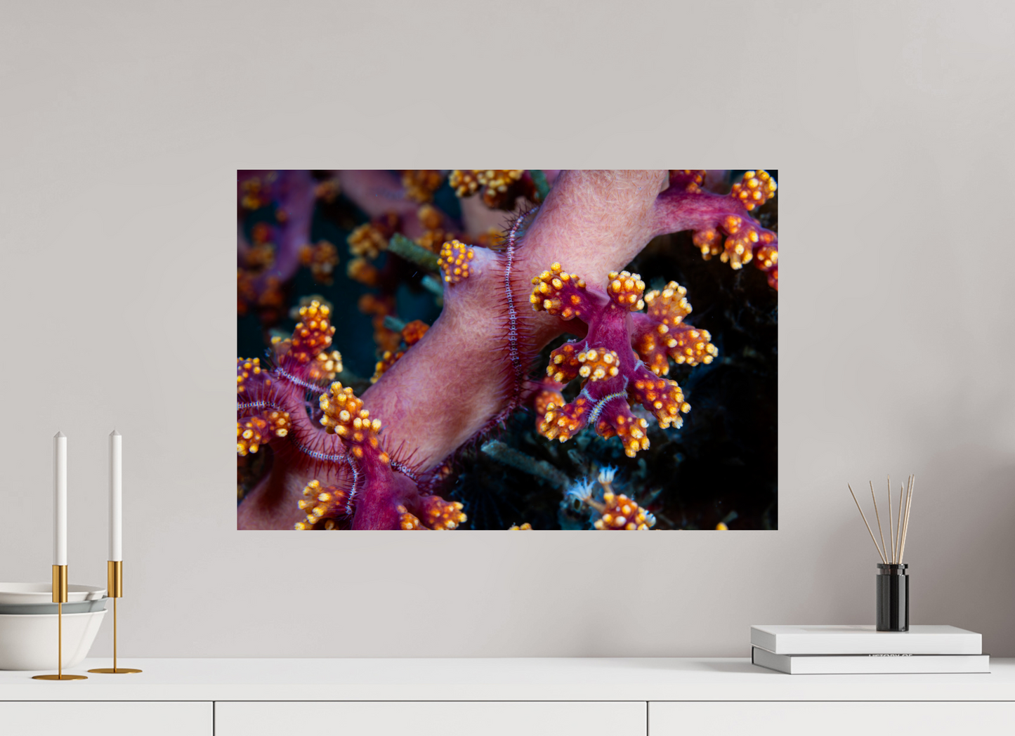 60 x 40 cm, ChromaLuxe HD Metal Print Entwined