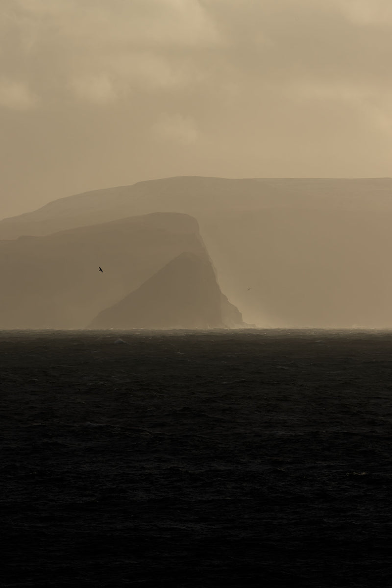 Into the Storm